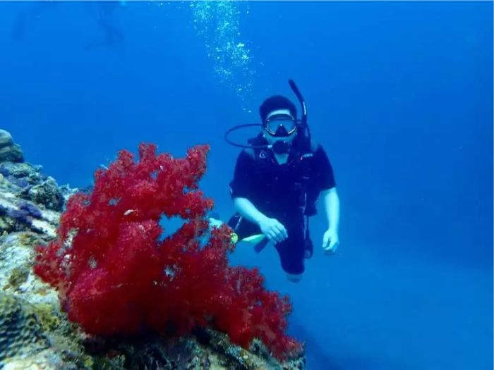 paket-diving-nautika-tour-travel-karimunjawa-1 paket liburan Karimunjawa