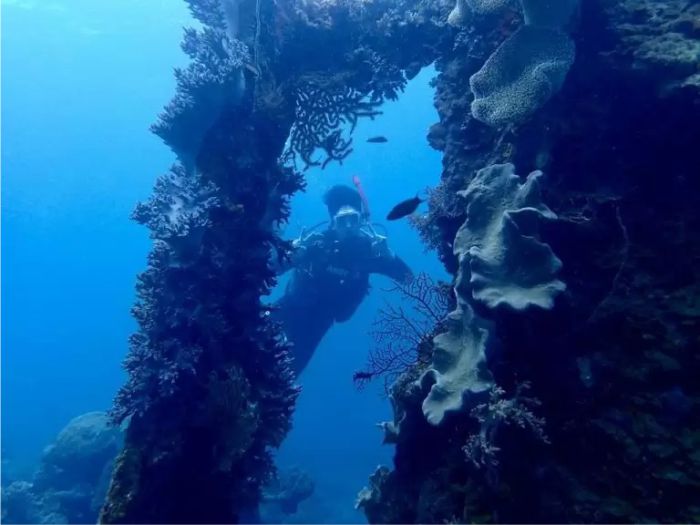 paket-diving-nautika-tour-travel-karimunjawa-2 paket liburan Karimunjawa